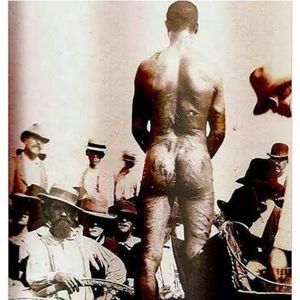 Meet your Posher, Baruch